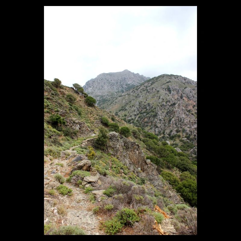 Berg Berge Berglandschaft Poster