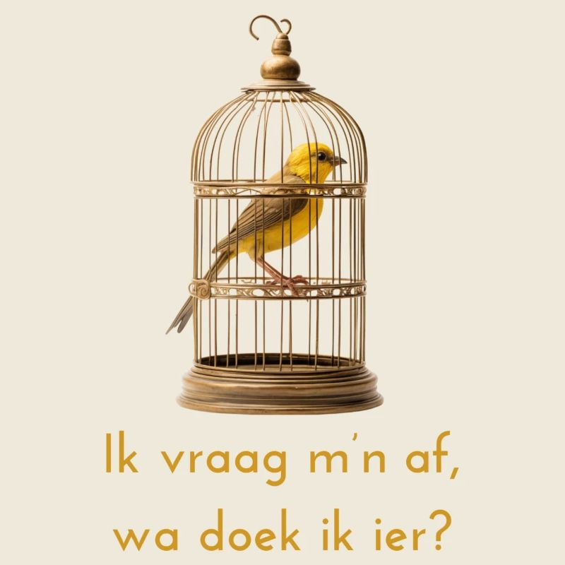 I wonder? Antwerp dialect Shirts