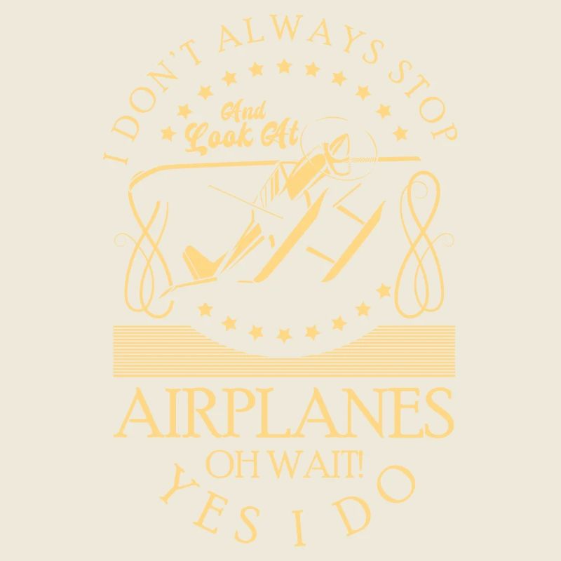 Modèle Avion Hobby Pilot Modèle