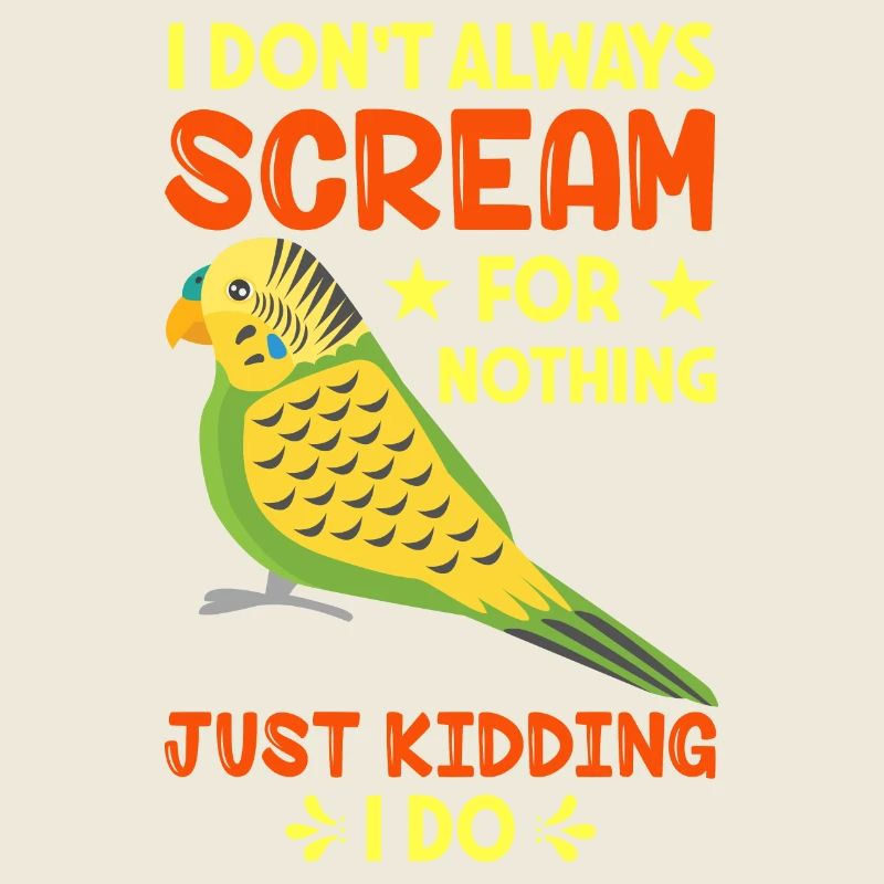 Perruche ondulée, ami à plumes, observation des oiseaux