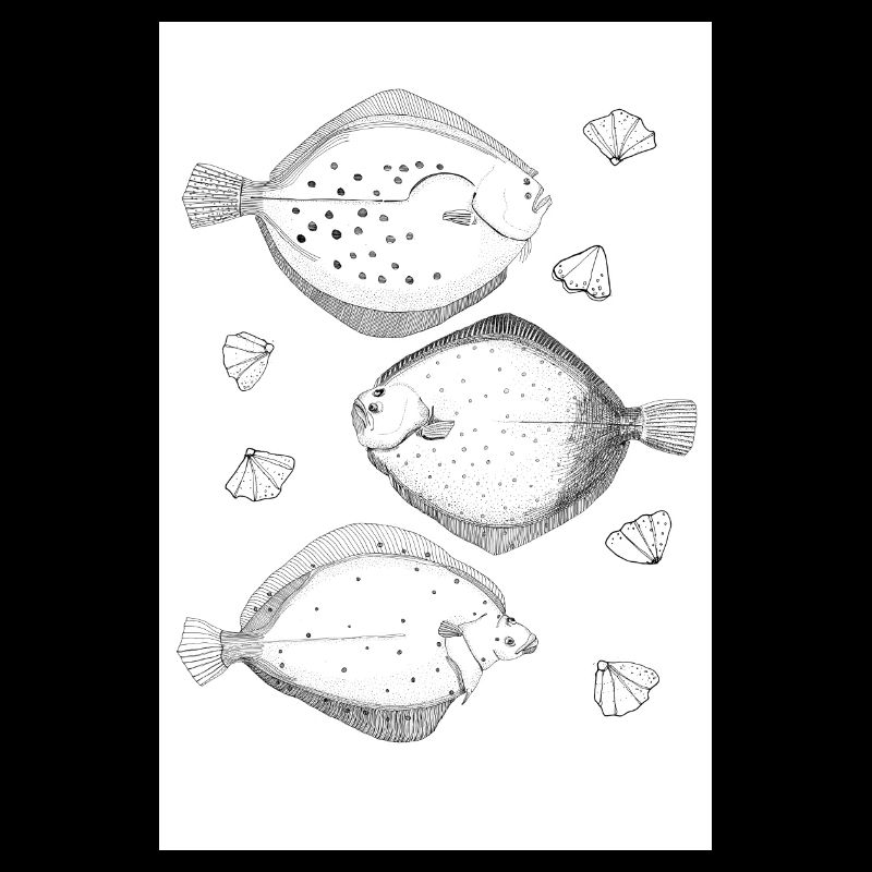 Affiche Poisson plat