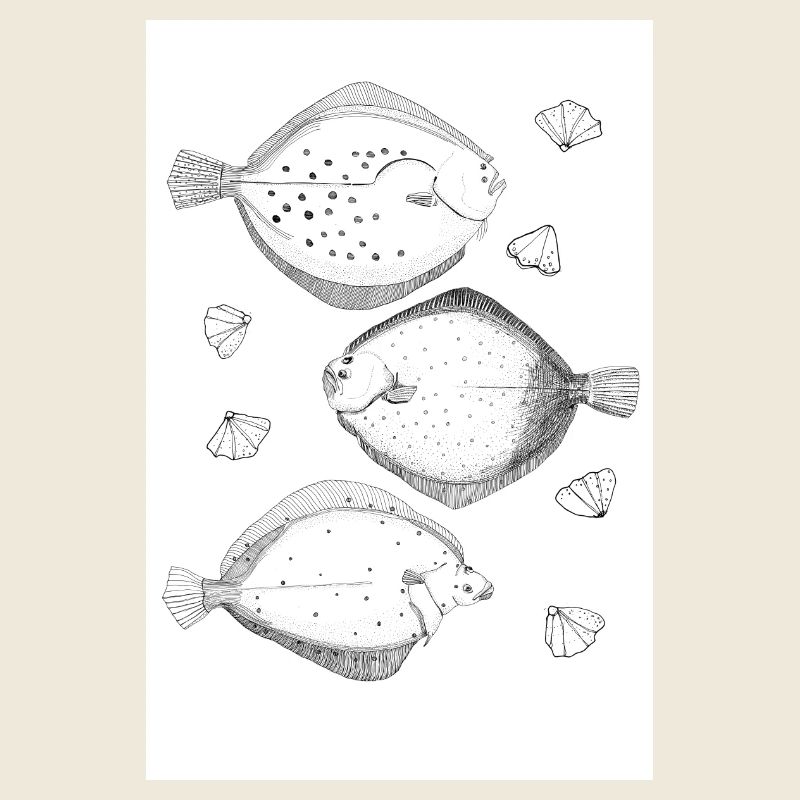 Plattfisch-Poster