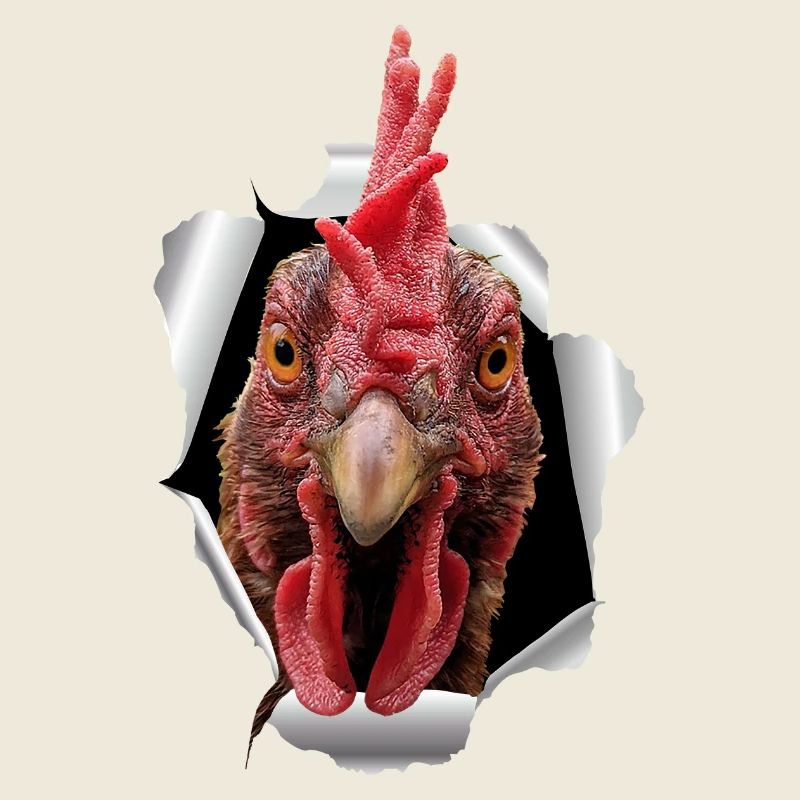Papier déchiré de poulet