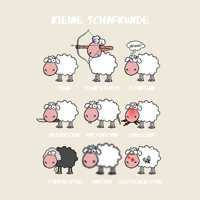 Kleine Schafkunde