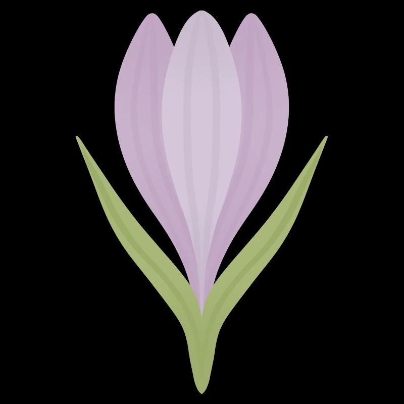 Lilac Crocus Bloom Illustration