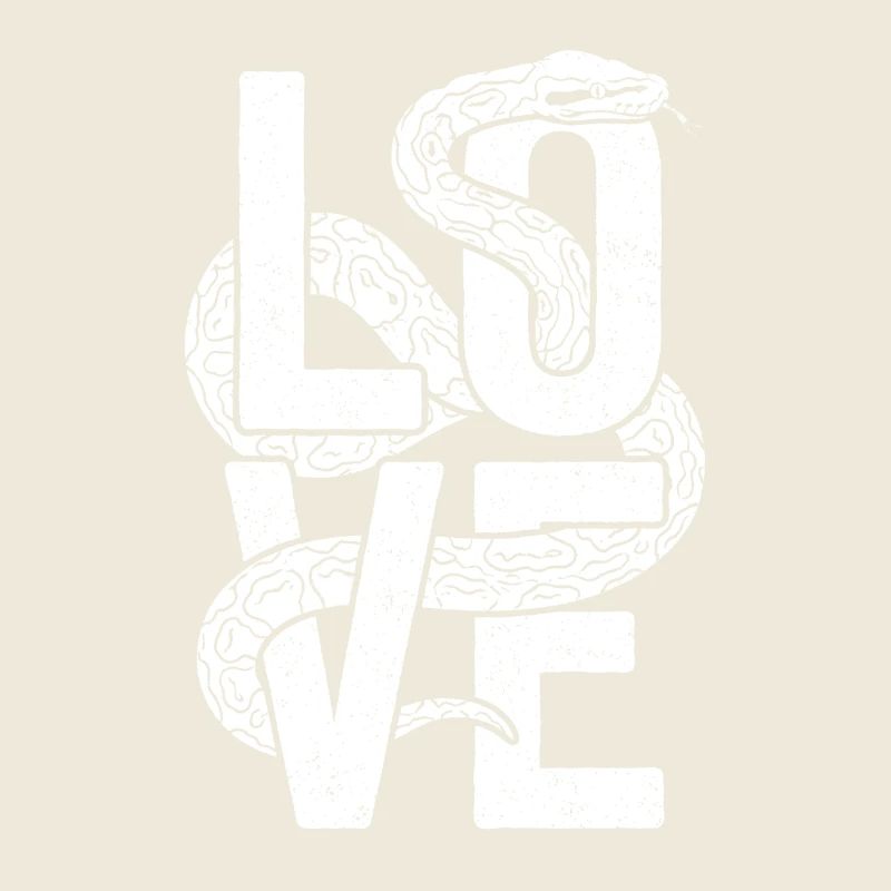 Königspython Schlangen LOVE Terrarium Python