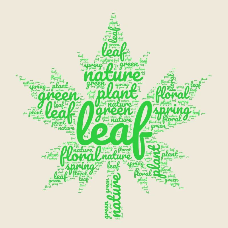 feuille verte