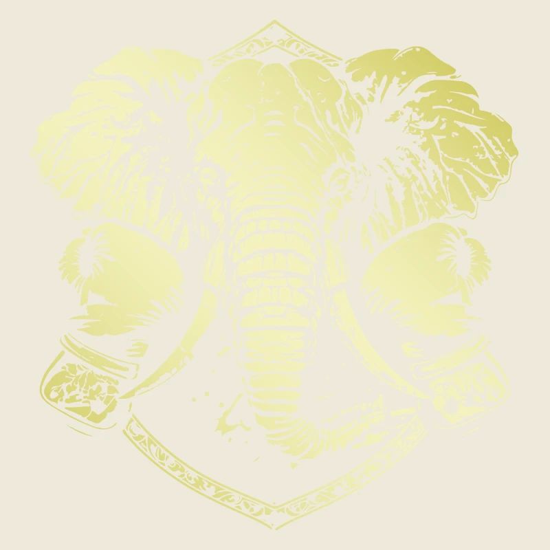 Elefant Boxer
