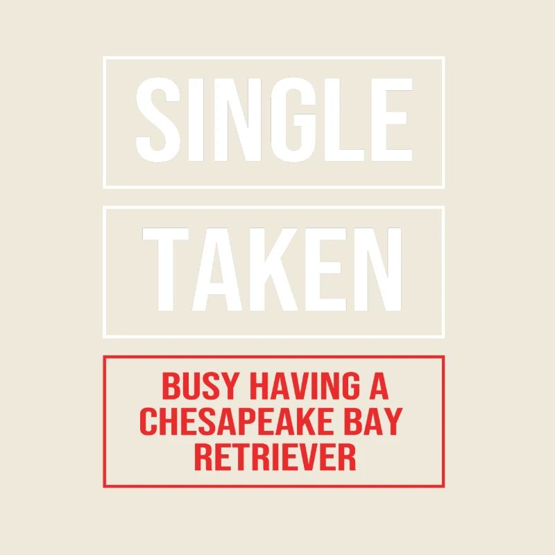 Retriever de la baie de Chesapeake