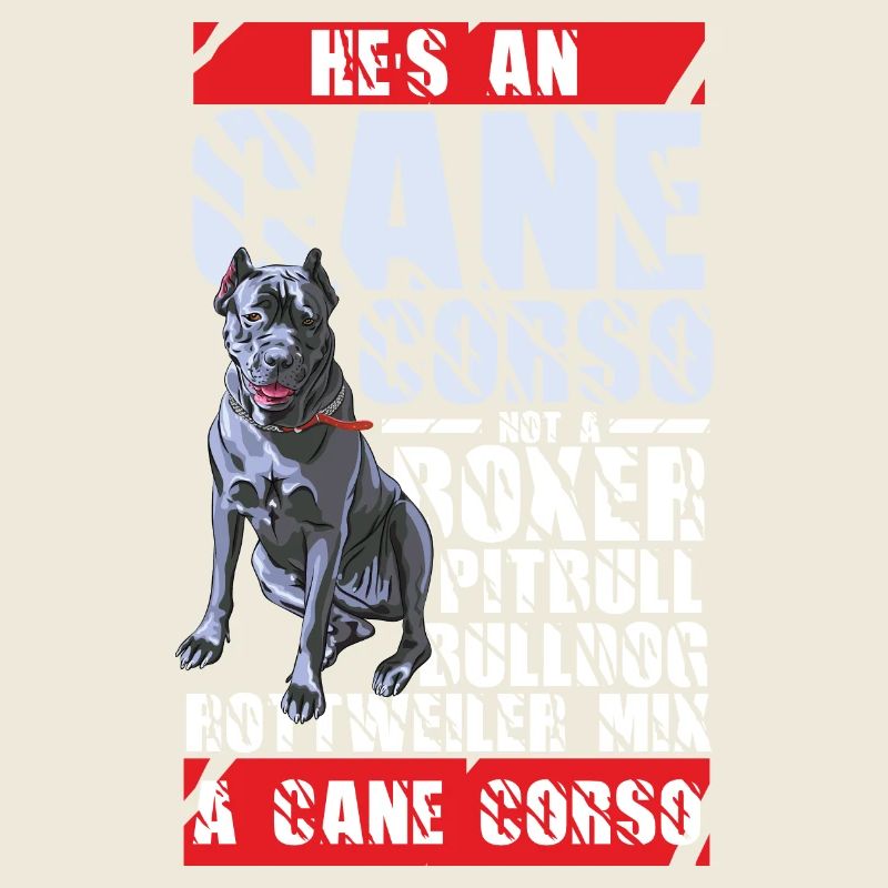 Cane Corso Confondant race de chien