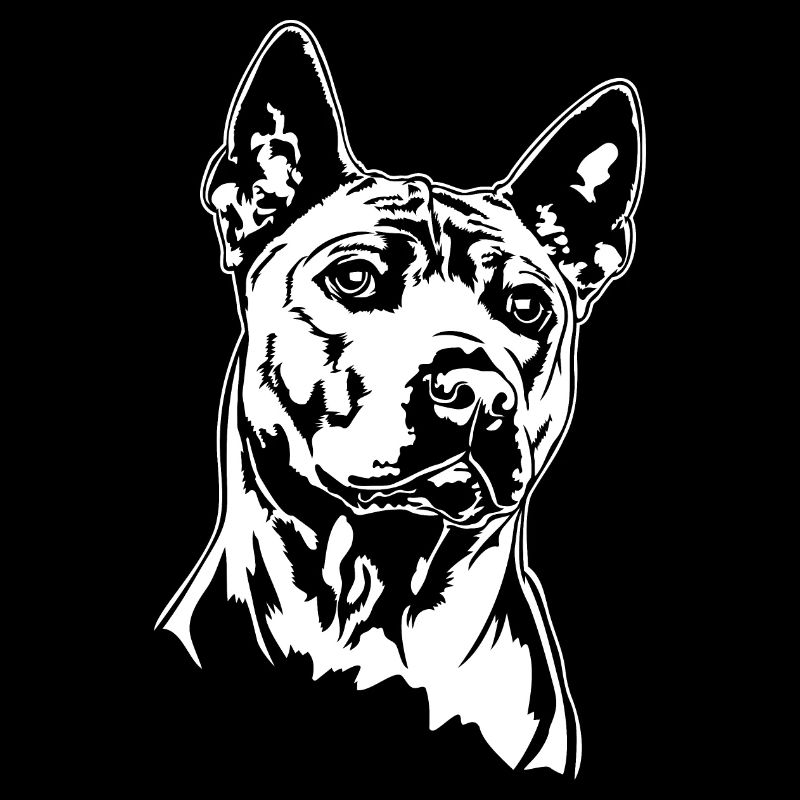 Thai Ridgeback Portrait Hund Hunde Wilsigns