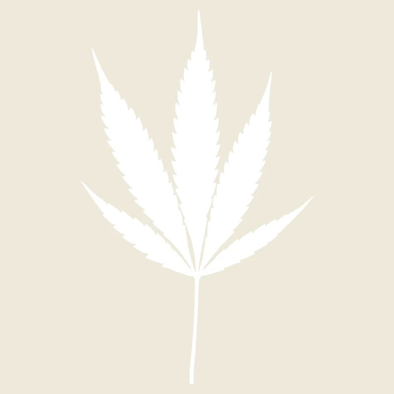 Feuille de Cannabis Blanche