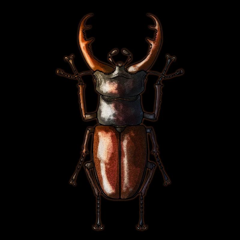 Cerf-volant
