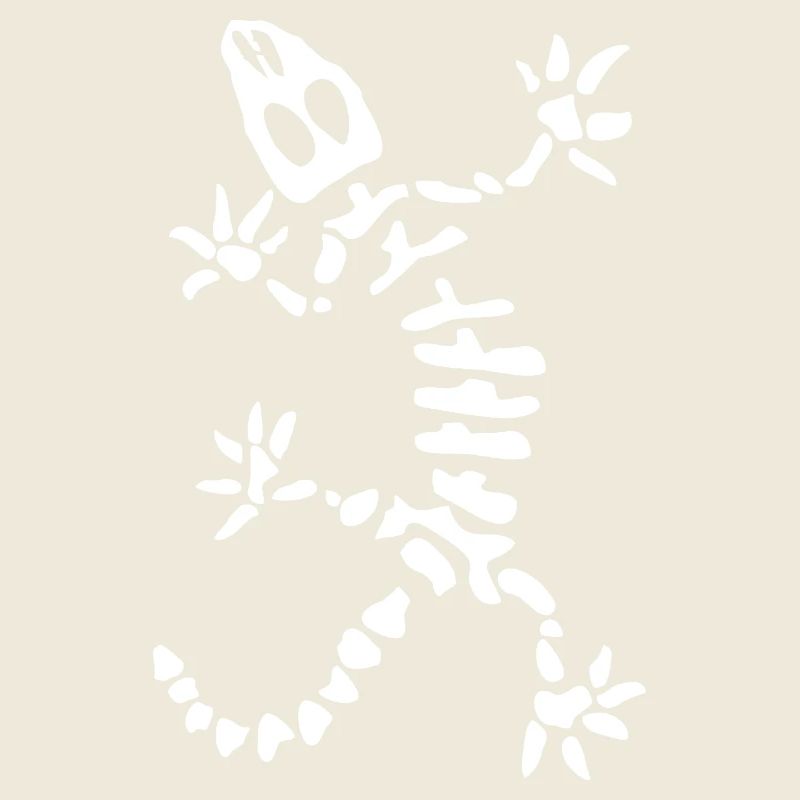 Squelette de gecko : lézard, reptile et os