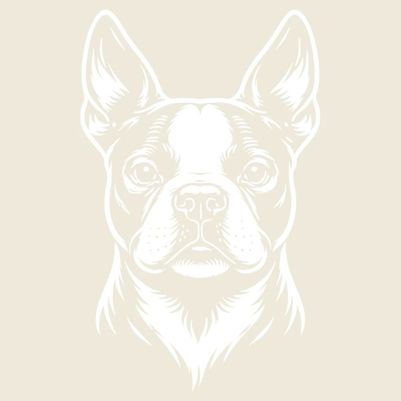 Boston Terrier Kopf