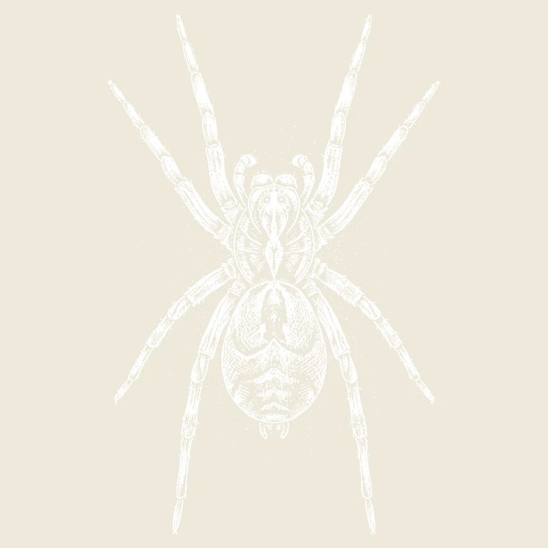Midnight Spider Mandala