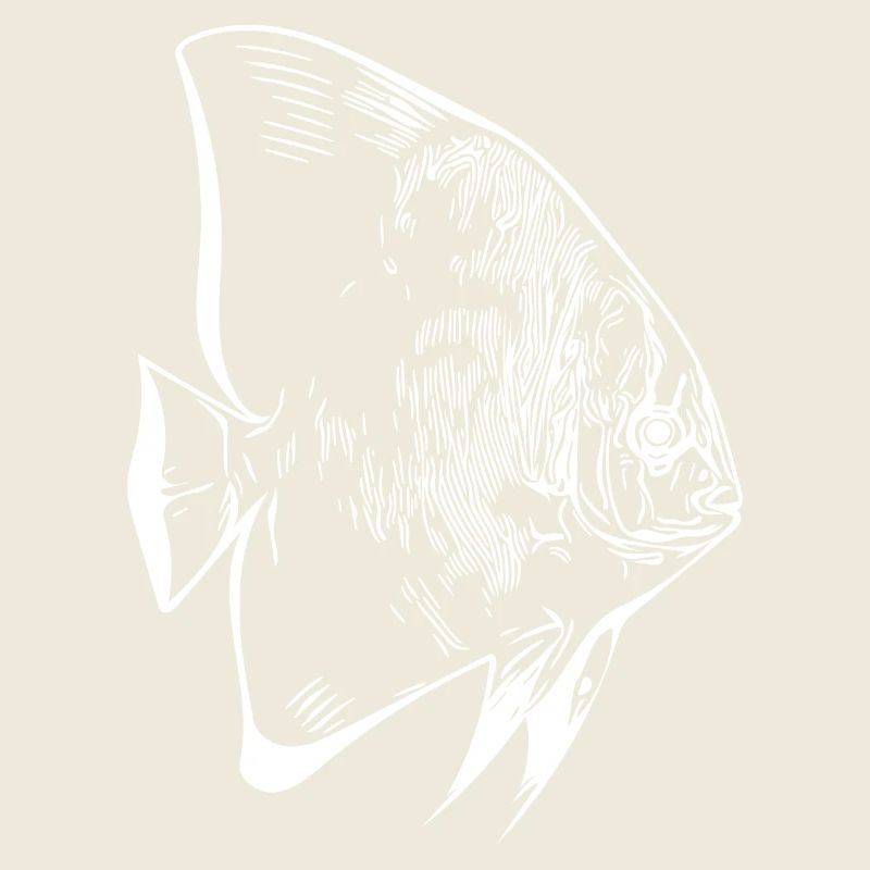 Elegant vintage batfish