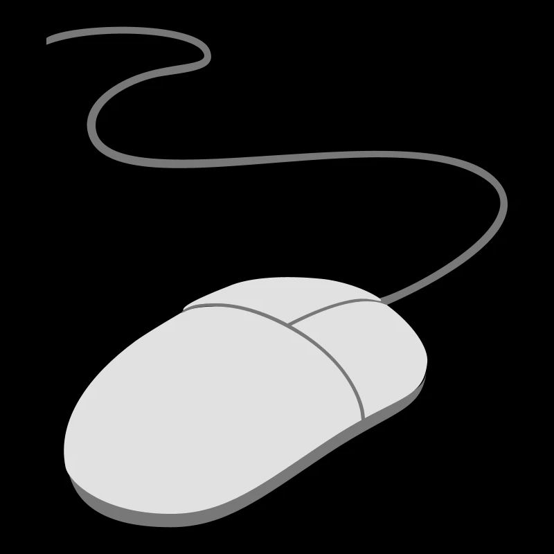 computer mouse