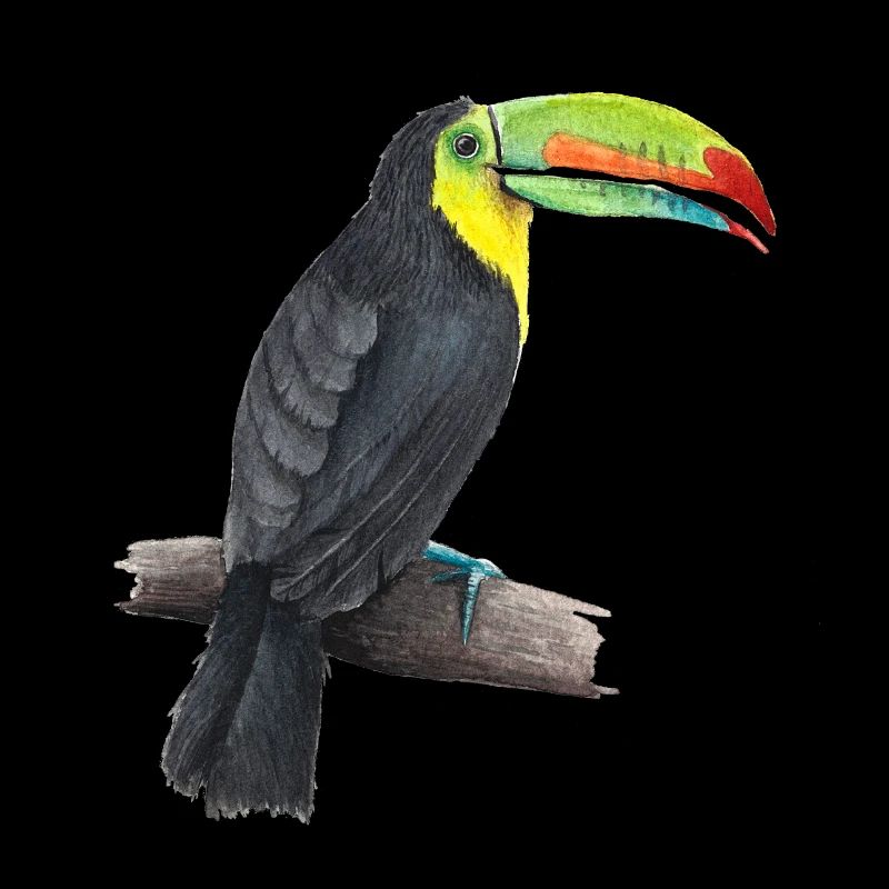 tucan