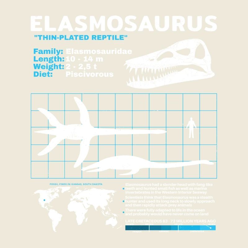 Fiche d’information sur Elasmosaurus