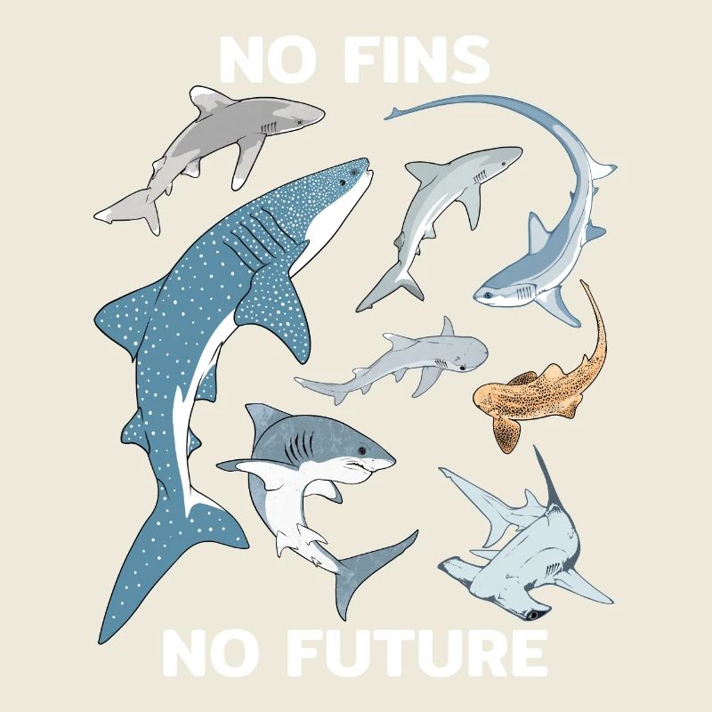 No Fins No Future Shark Species