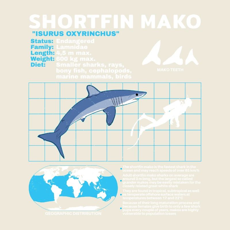 Fiche d’information sur Makohai