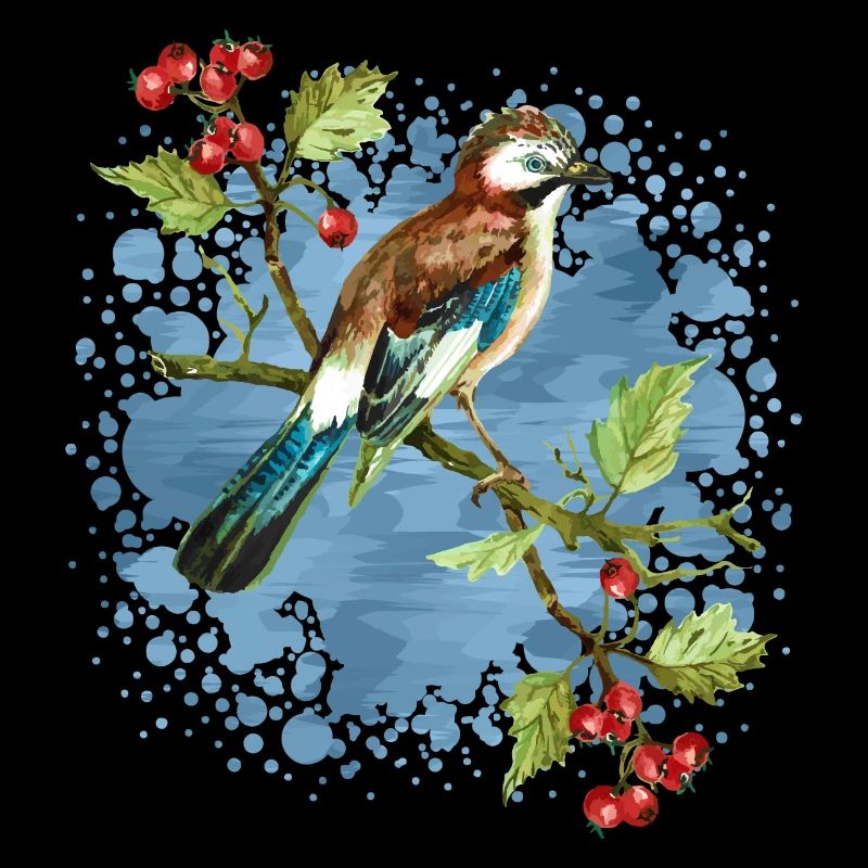 Oiseau coloré