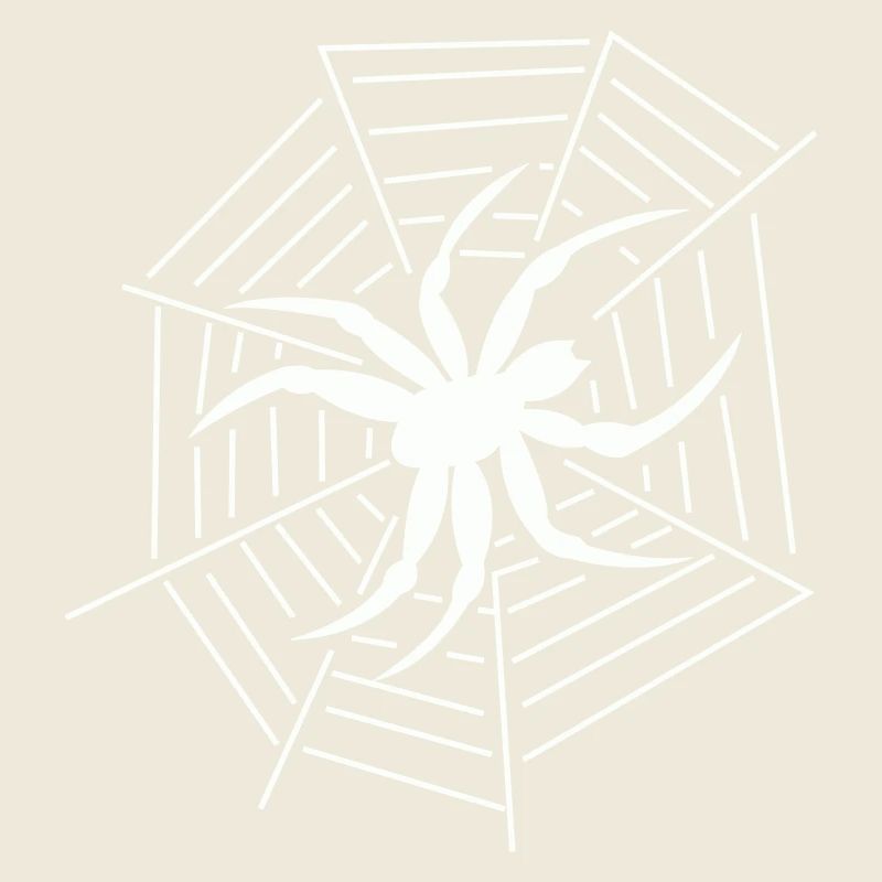 Spinne Spider