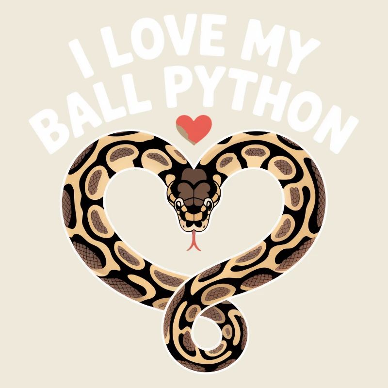J’adore mon python royal ! Roi python