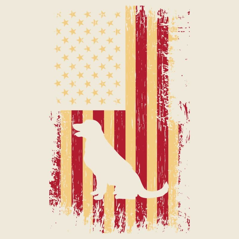 Drapeau des États-Unis du Labrador