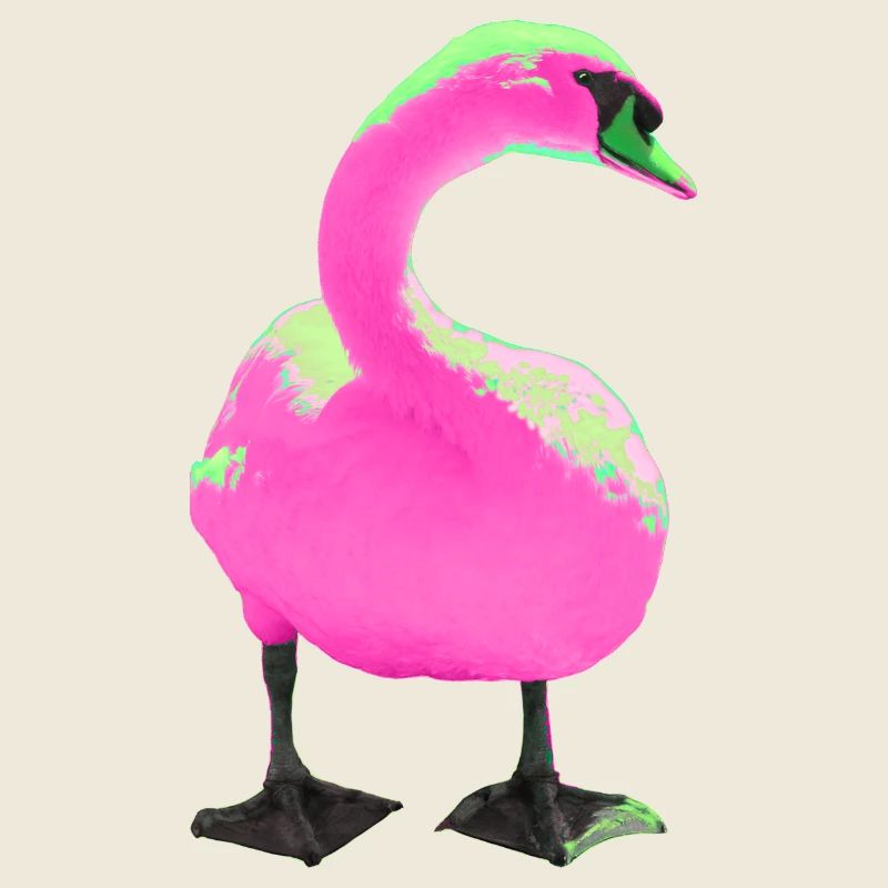 Cygne