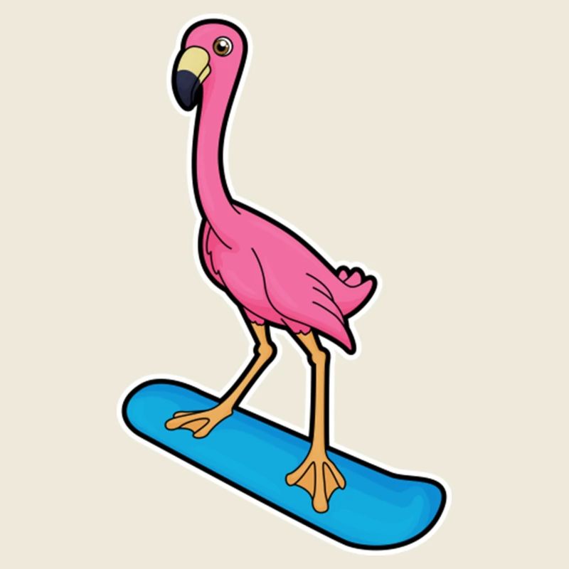 Flamingo en snowboarder avec Snowbaord