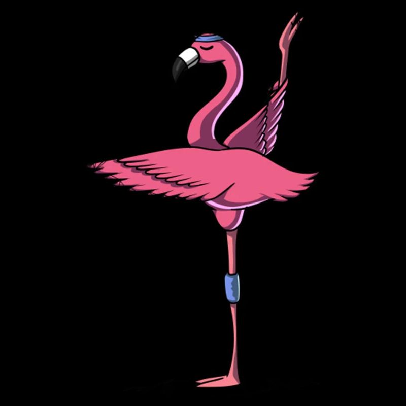 Flamingo Vogel Yoga Workout Liebhaber