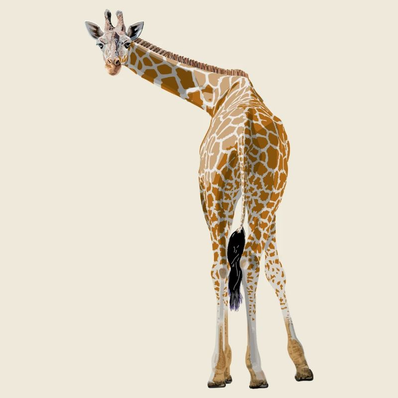 Giraffe greets from the savannah