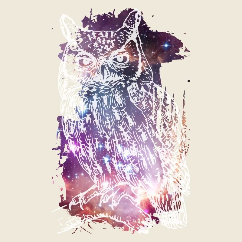 The Cosmic Owl