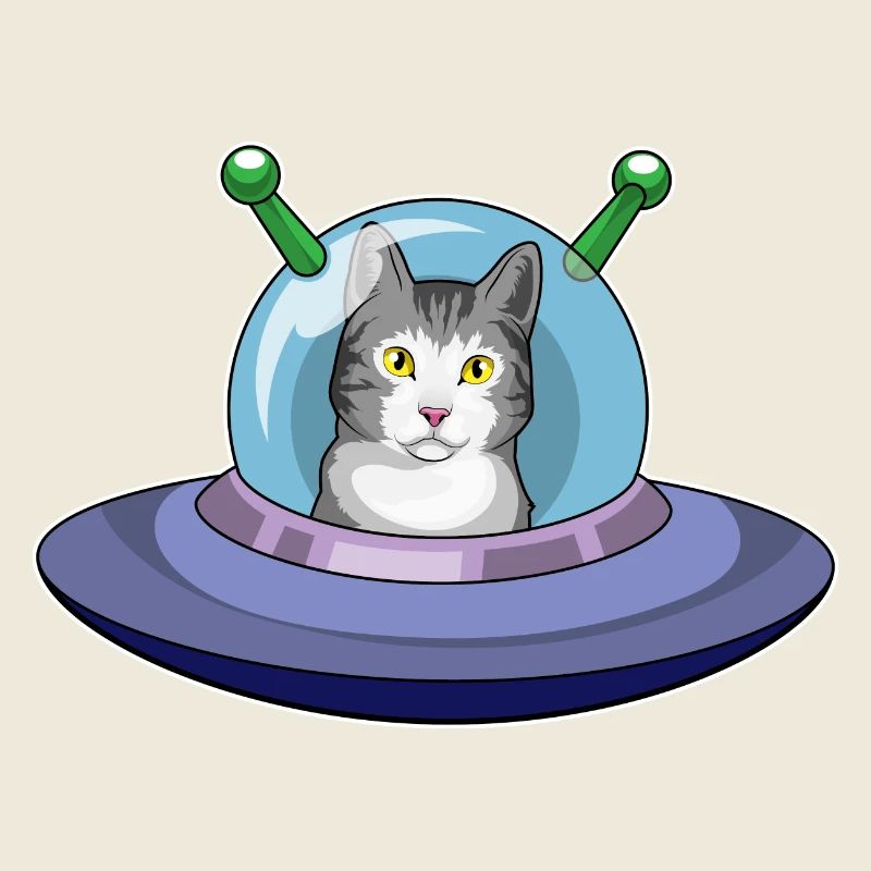 Vaisseau spatial Chat Espace
