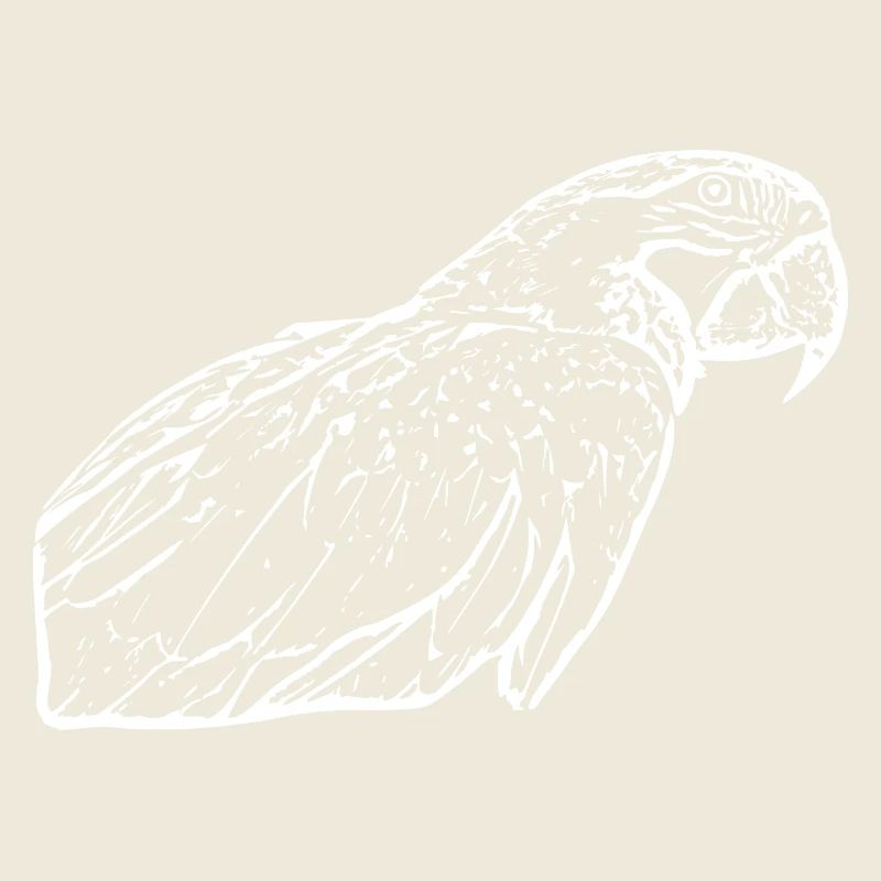 Papageien Vogel weiß