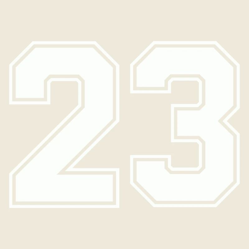 Geometric Number Design 23