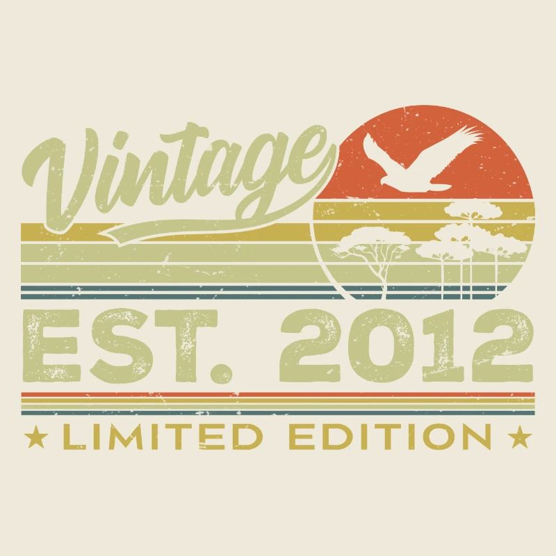Vintage 2012 Fantastisch seit 2012 Geschenk 2012 Retro