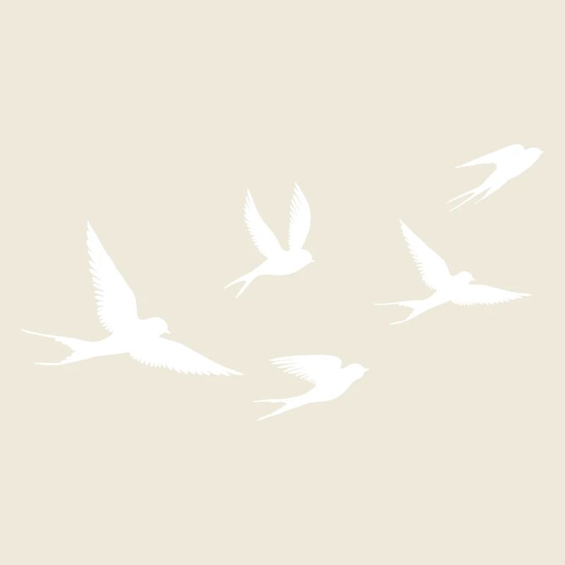 Birds | Oiseau