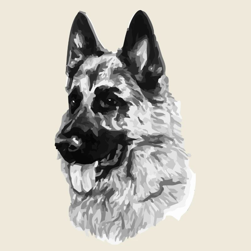German shepherd
