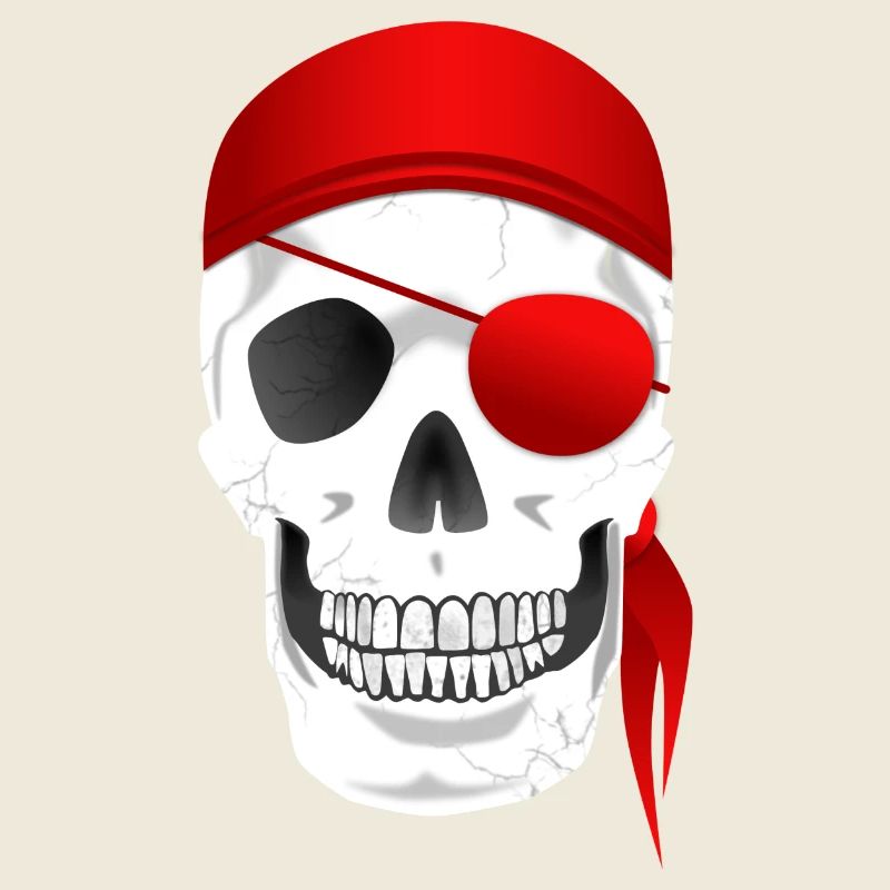 Skull Pirate
