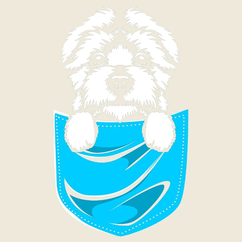 Maltese