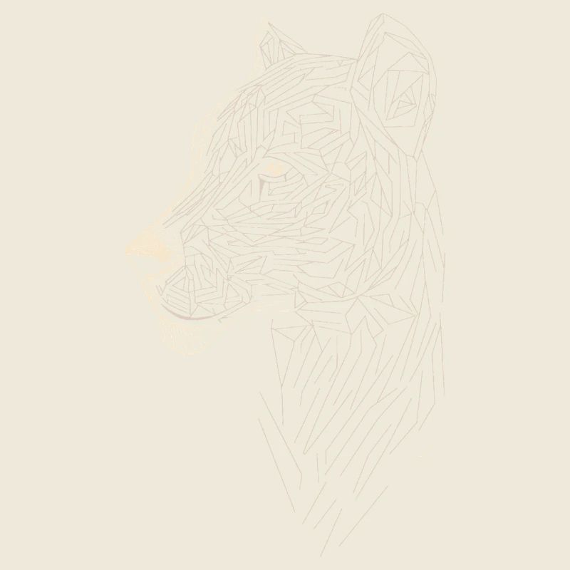 Leopard Line Art - Geometric Style