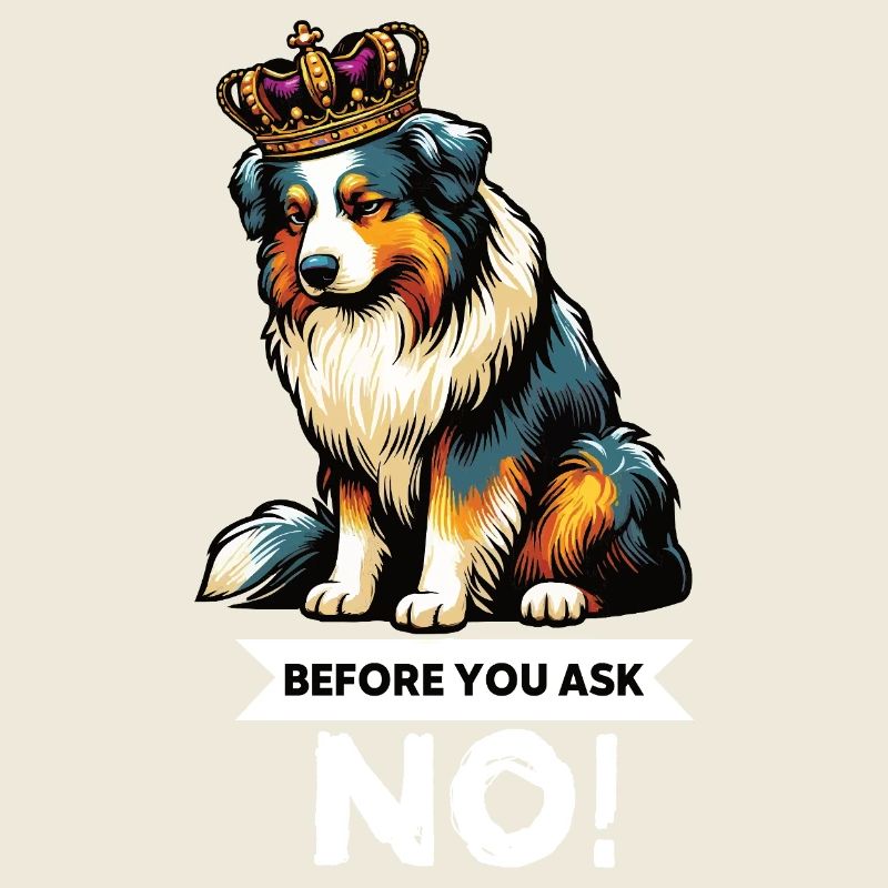 Avant de demander aux Australian Shepherds Aussie Aussies