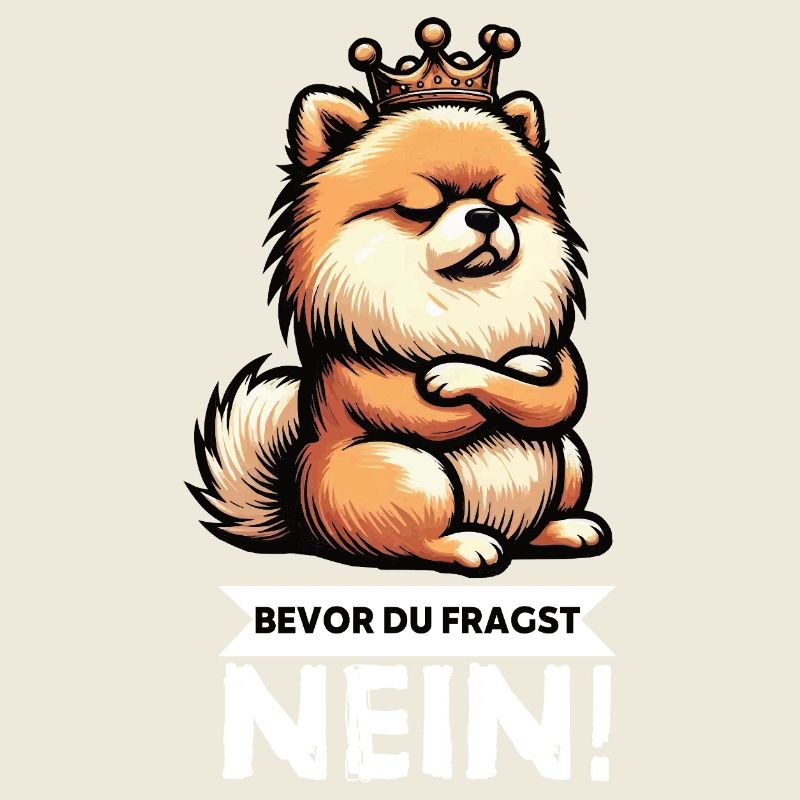 Bevor Du Fragst Nein Zwergspitz Zwergspitze Spitz 