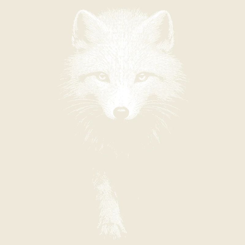 Arctic fox