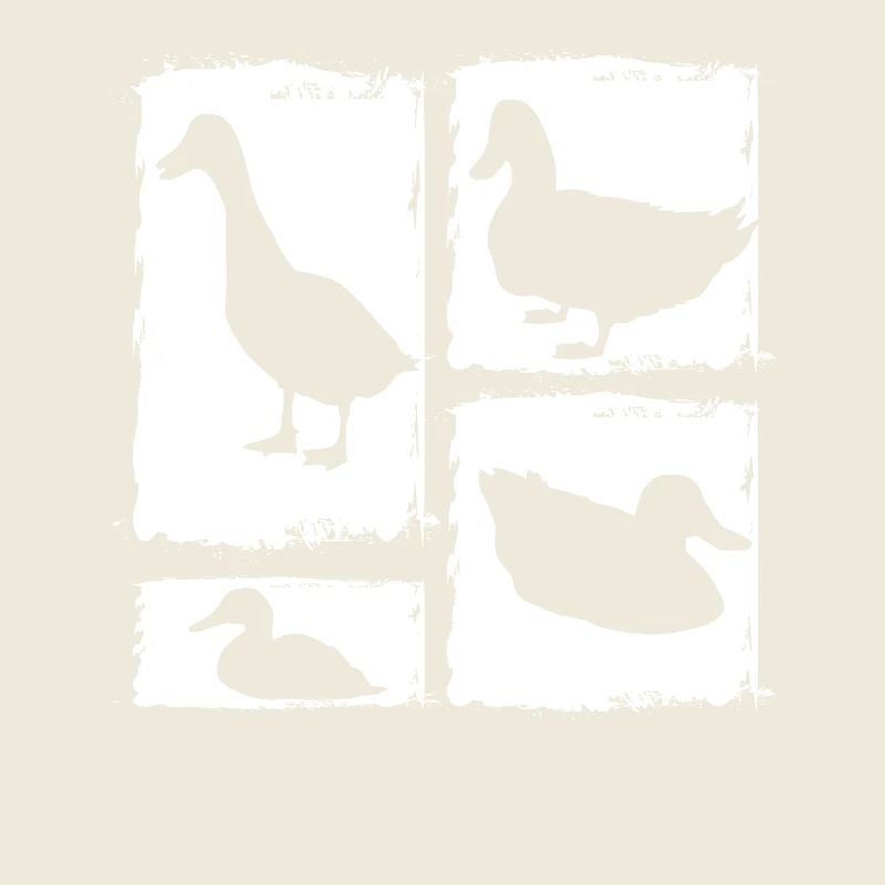 Ducks