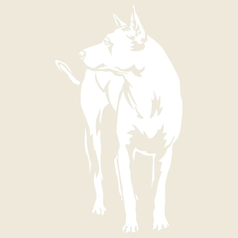 Thai Ridgeback "Black Edition"