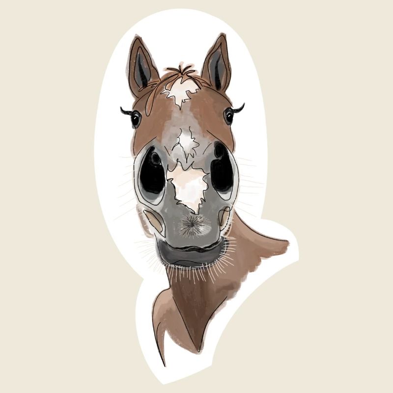 Cheval souriant